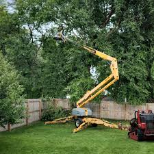 Best Tree Health Inspection  in Marbleton, WY